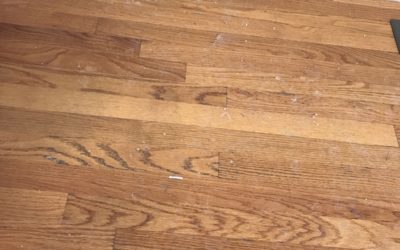 Road Salt and Hardwood Floors