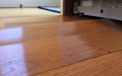 Water Damage and Hardwood Floors